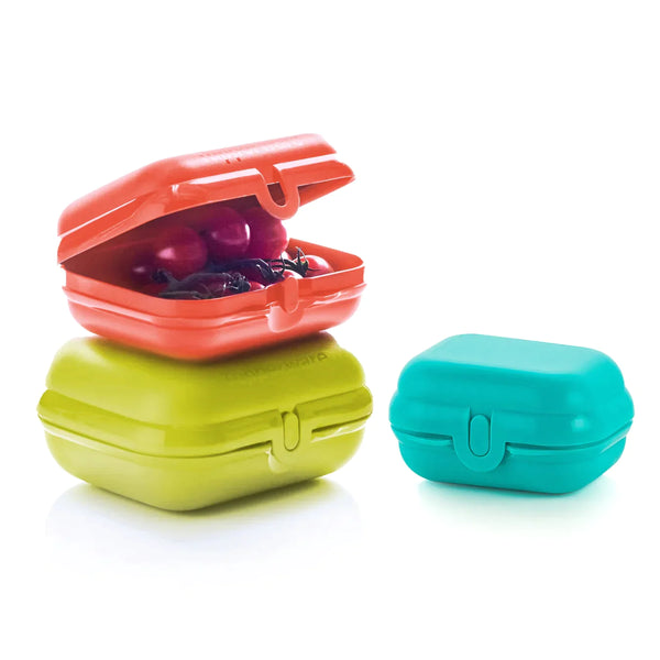 Tupperware Oyster Large Margari Bio – Tupperware Queen Shop Uk