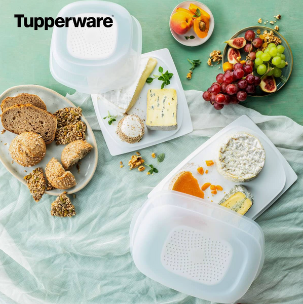 CheeSmart® Small Square – Tupperware US