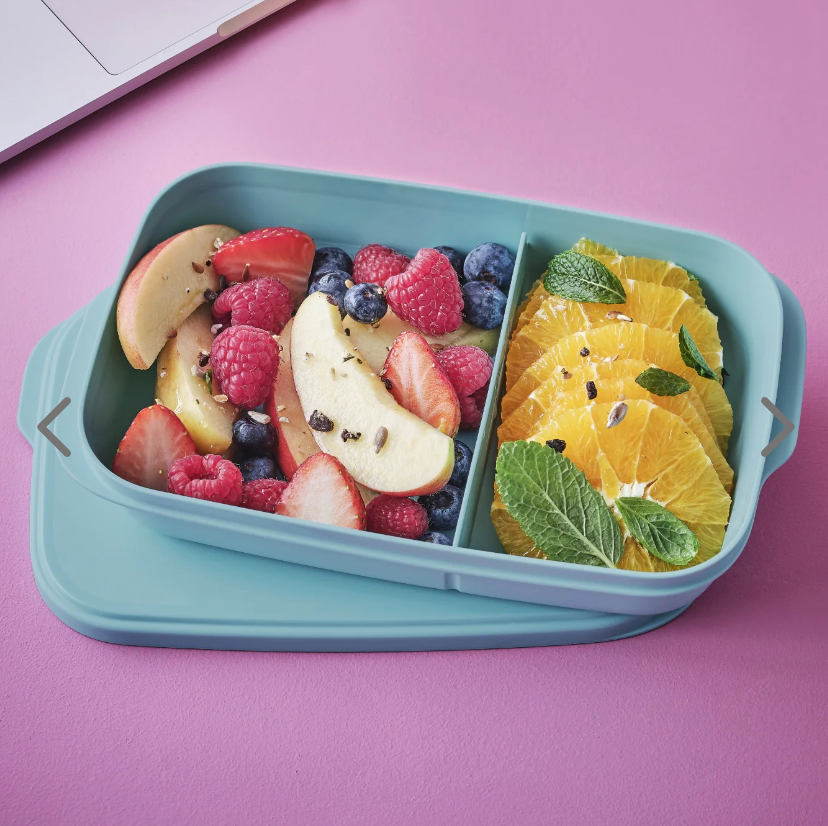 Tupperware Slim Lunch Container