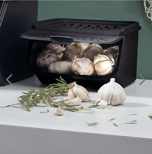 Tupperware Garlic Smart in Black