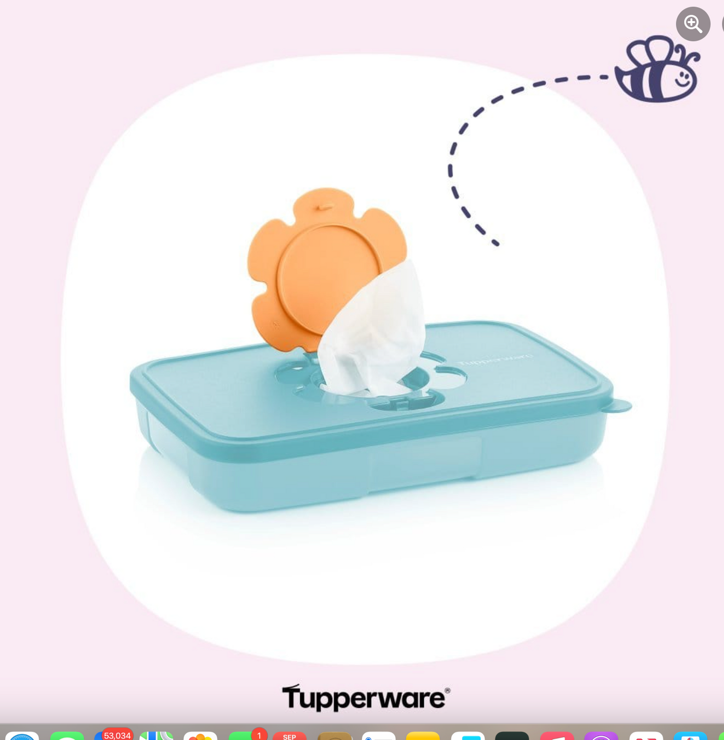 Tupperware Low Wipes box