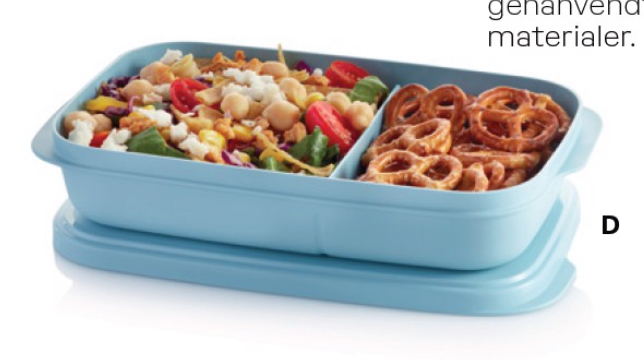 Tupperware Slim Lunch Container