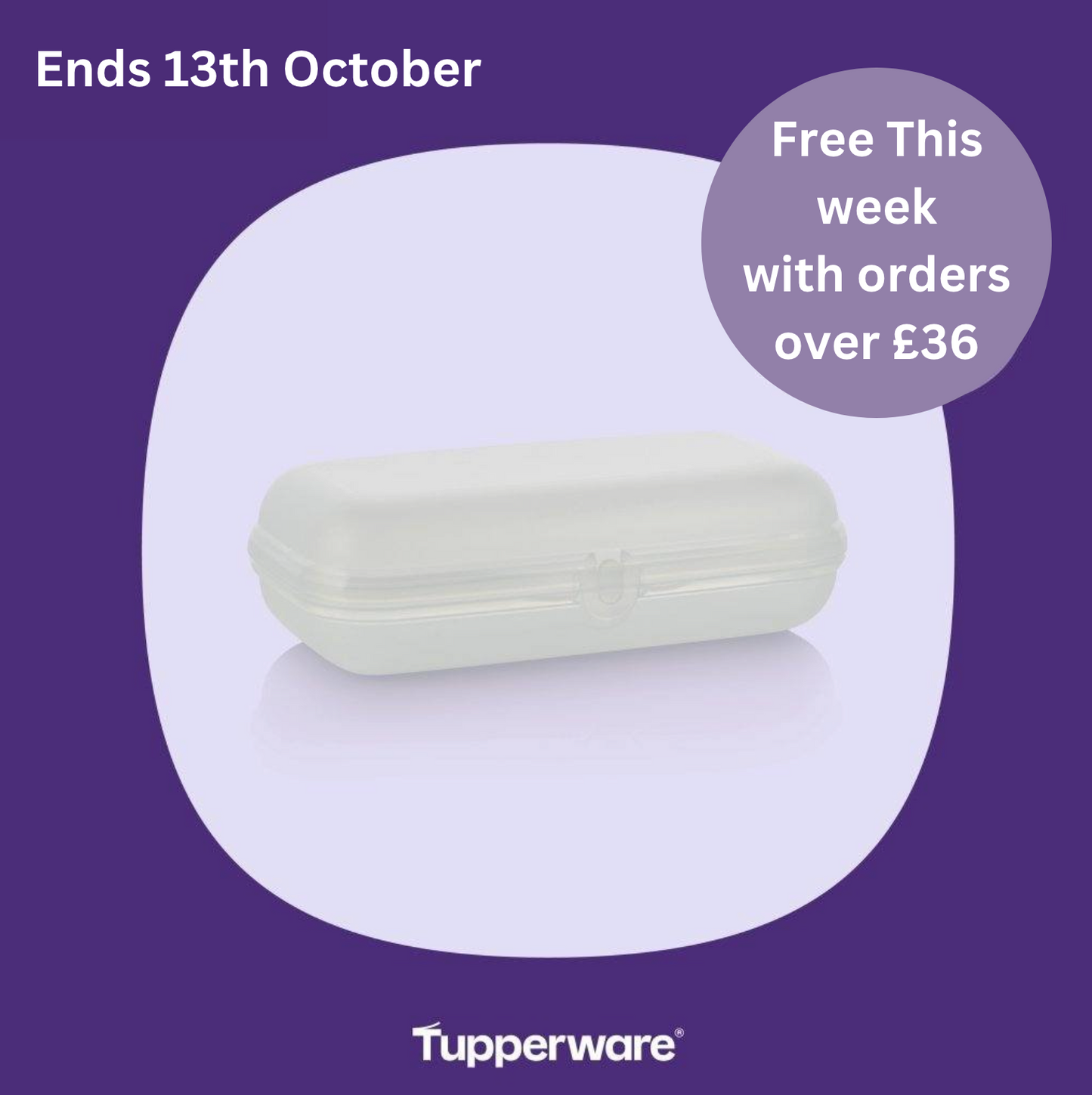 Tupperware Large Oyster in white - FREE with orders of £36 from the Catalogue, Monthly or Weekly Specials