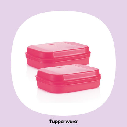 Tupperware 1.1L Sweet Box Set of Two