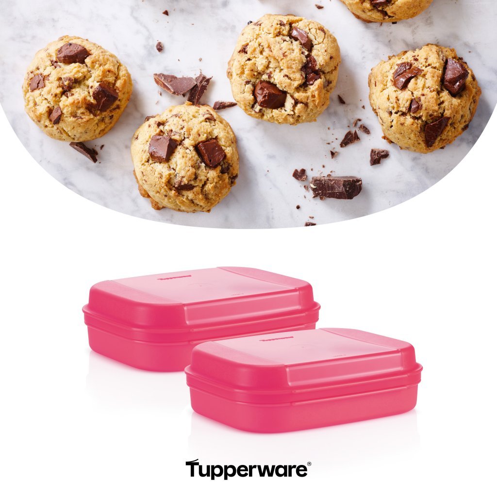 Tupperware 1.1L Sweet Box Set of Two