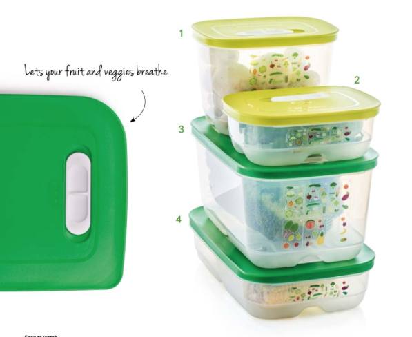 FridgeSmart® Small popular Deep